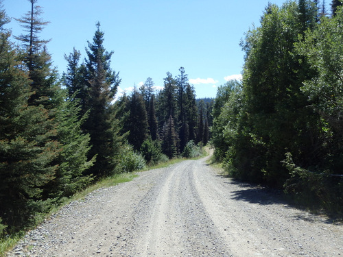 GDMBR: Heading down NF-4106.